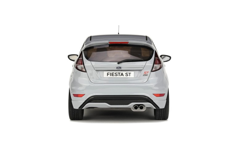 Ford Fiesta ST200 Storm Grey 2016