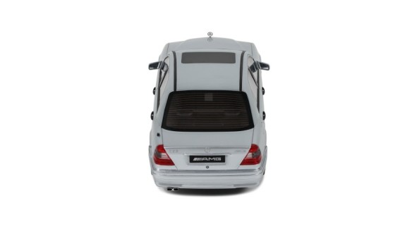 Mercedes-Benz C36 AMG W202 Brilliant Silver 1990