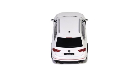 Volkswagen Tiguan R Oryx White Pearl L0K1 2021