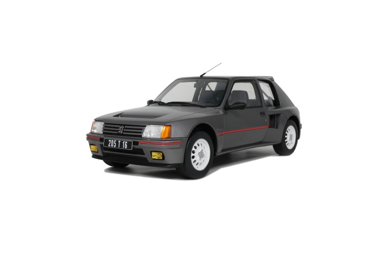 Peugeot 205 T16 Série 200 Winchester Grey 1984