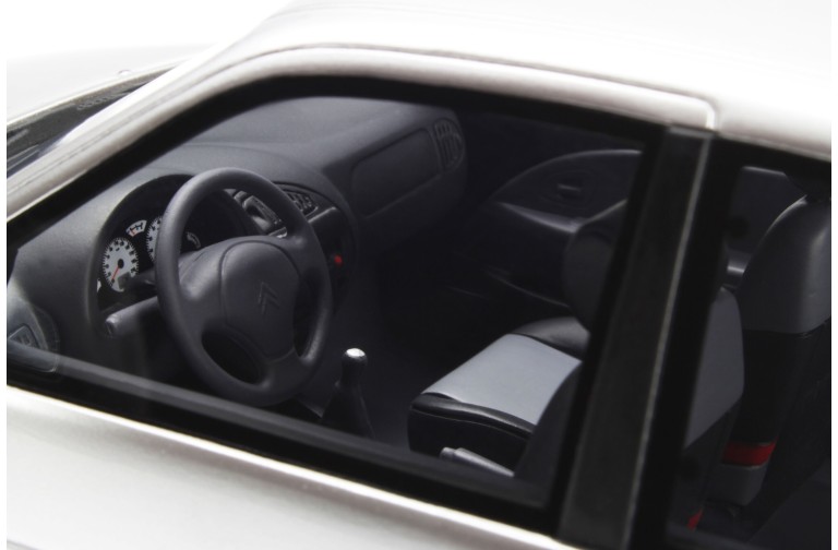 Citroën Saxo New Morning Gris Orageux / Gris Quartz 2001