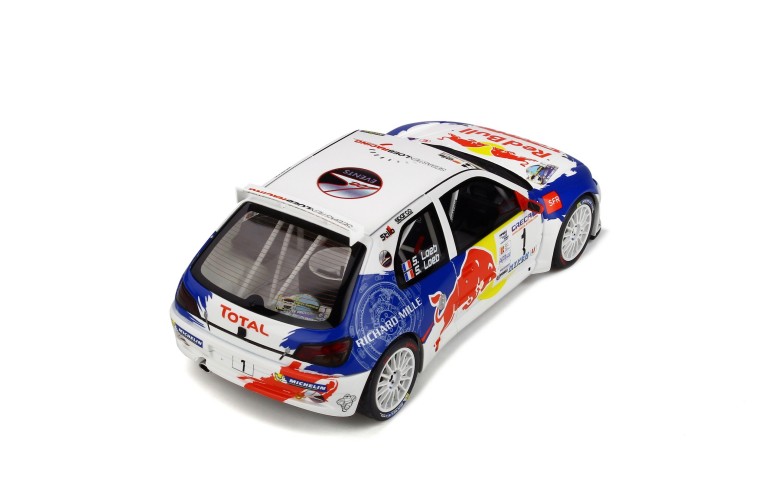 Peugeot 306 Maxi Rallye National de Haute-Provence 2017