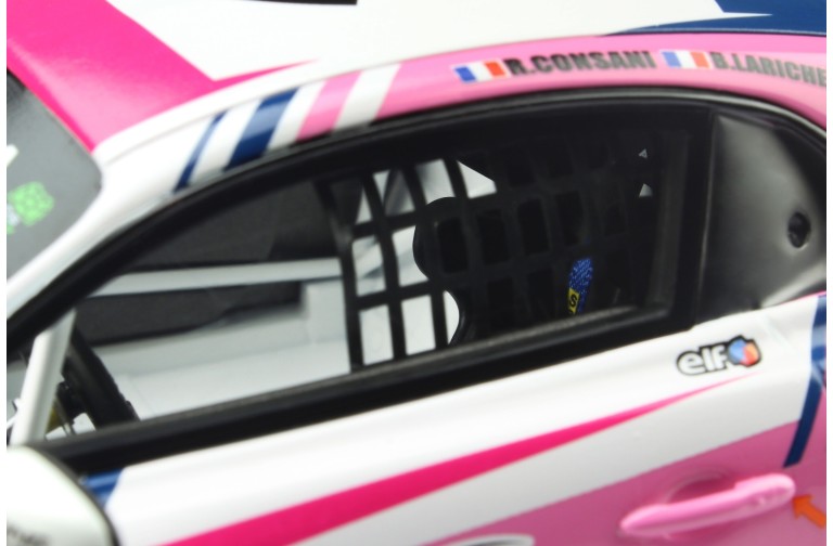 Alpine A110 GT4 Pink 2020