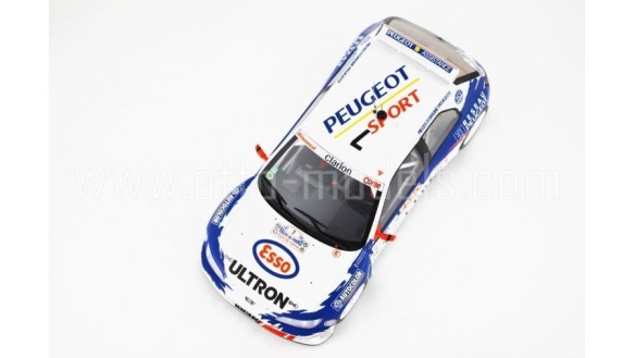 Peugeot 306 Maxi Tour de Corse 1997